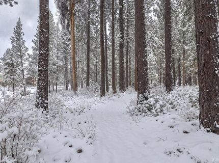 593 Tahoe Island Drive, South Lake Tahoe, CA 96150 Photo