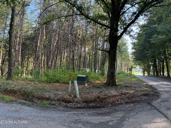 100 County Road 262 , Unit 4, Niota, TN 37826