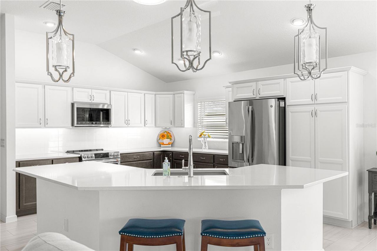 1078 Maynard Path, The Villages, FL 32163 Photo