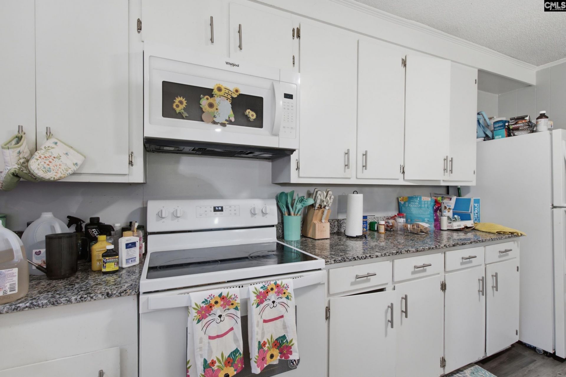 207 Dolly Street  Photo 38