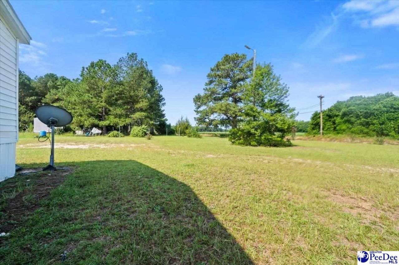 4185 Sc-57 Photo 31