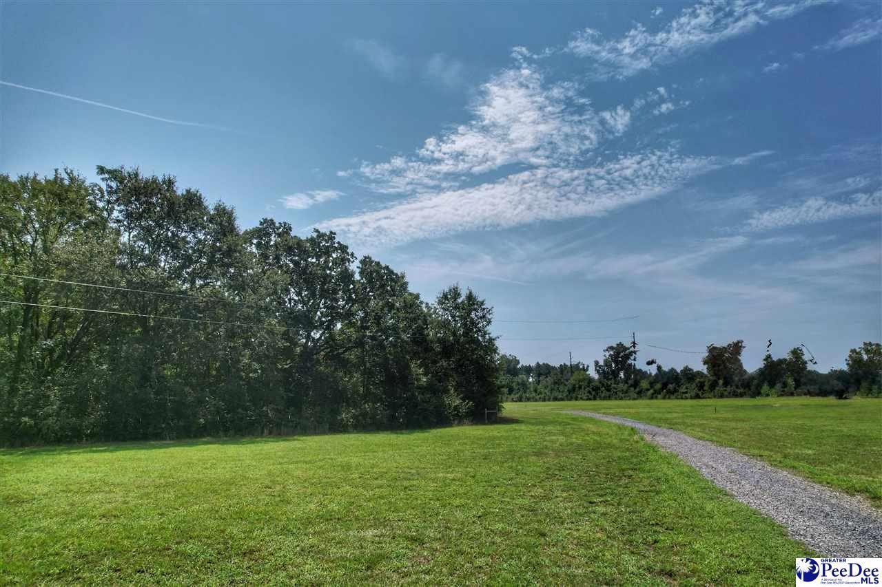 525 Oaky Point Road Photo 31