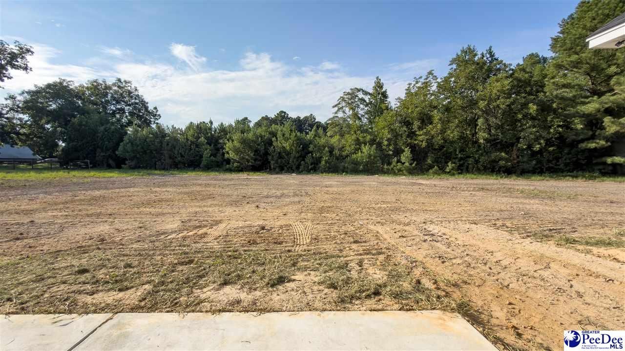 1310 Adaline Estate Photo 53