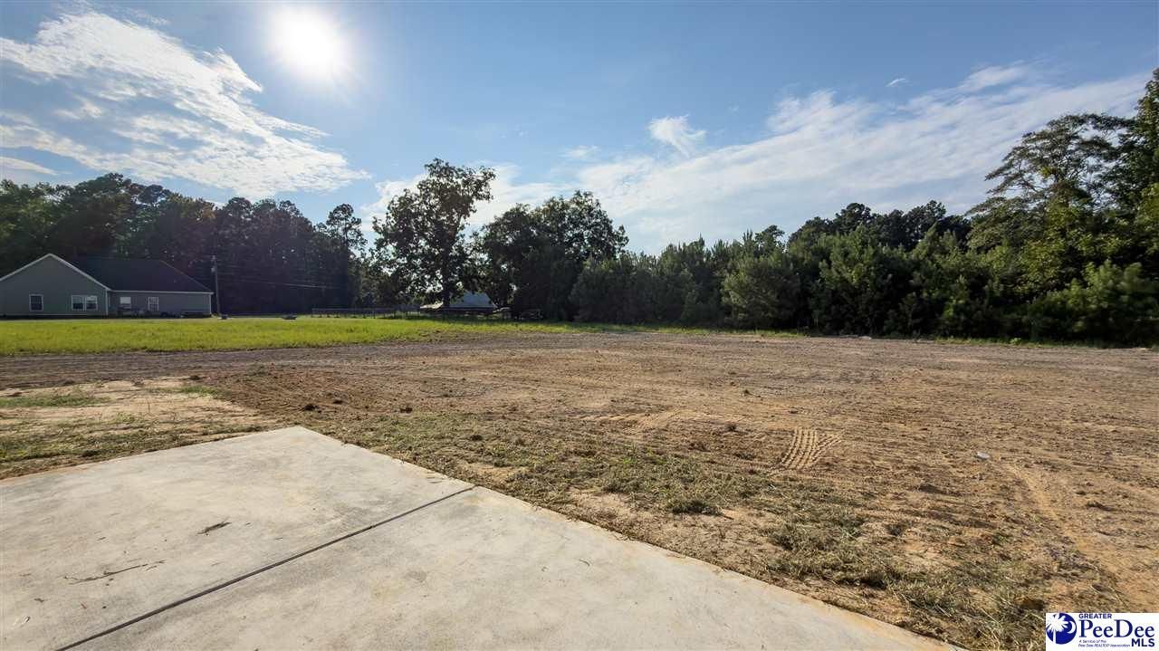 1310 Adaline Estate Photo 54