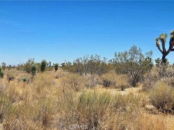 0 Vicinity Avenue X4 & 231st E, Llano, CA 93544