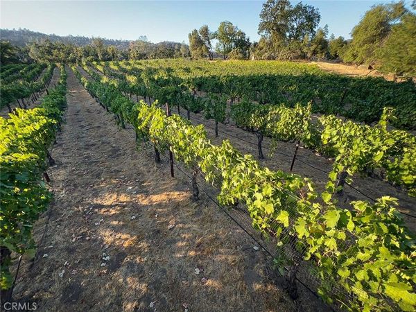 4683 Morningstar, Mariposa, CA 95338