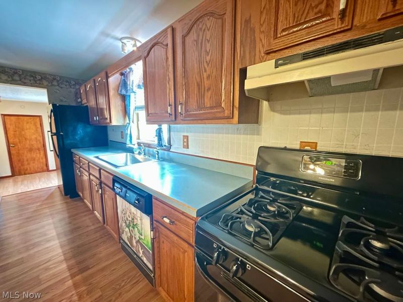 10115 Colfax Drive, Columbia Station, OH 44028 Photo 6