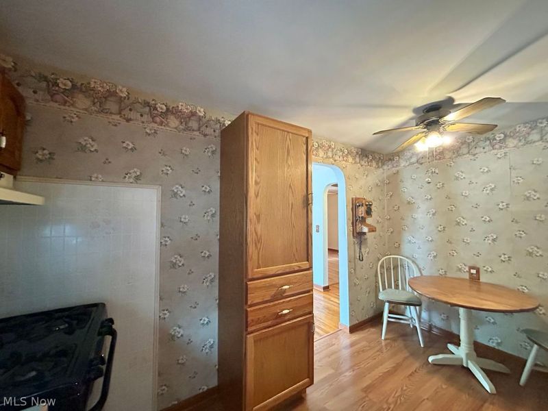 10115 Colfax Drive, Columbia Station, OH 44028 Photo 9