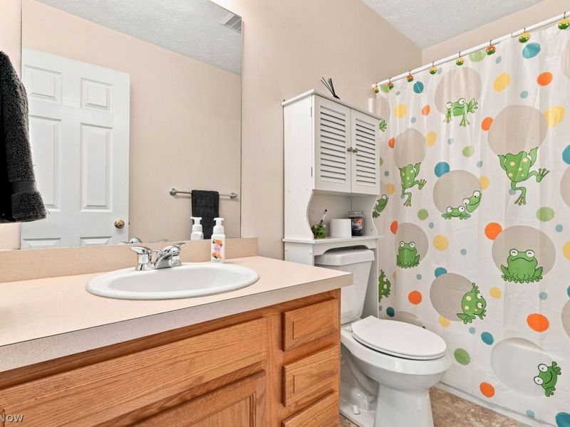 788 Manitou Avenue, Akron, OH 44305 Photo 21