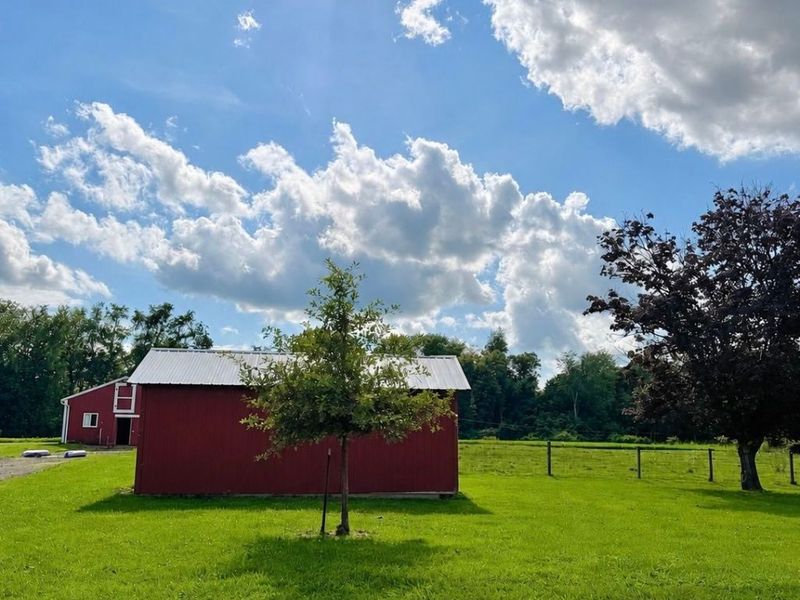 4247 S Funk Road, Wooster, OH 44691 Photo 7