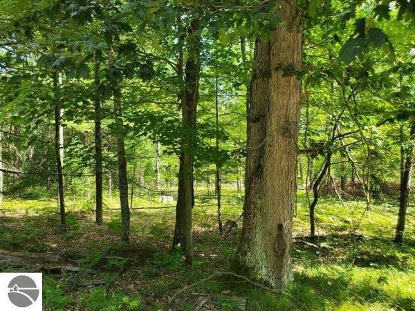 Turtle Lake Road, Prescott, MI 48756