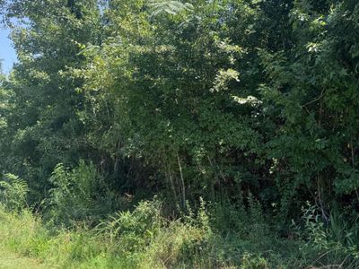 00 Society Road, McClellanville, SC 29458