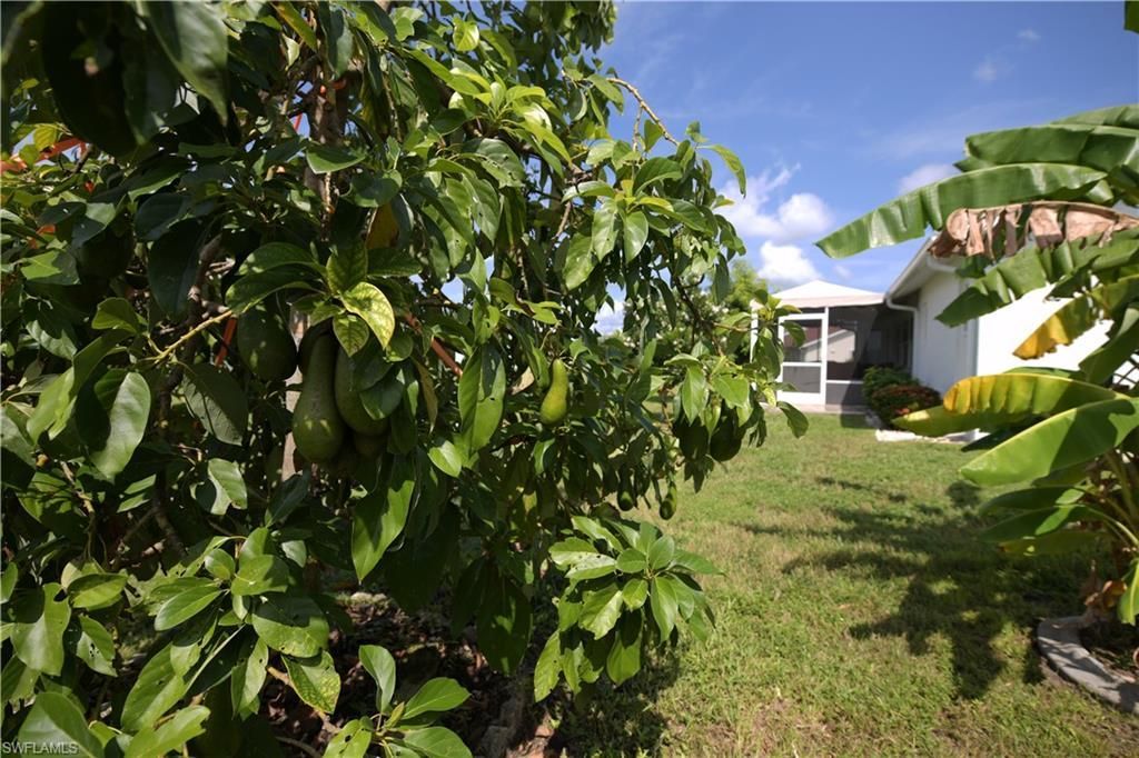 3691 Sabal Springs Blvd Se, North Fort Myers, FL 33917 Photo