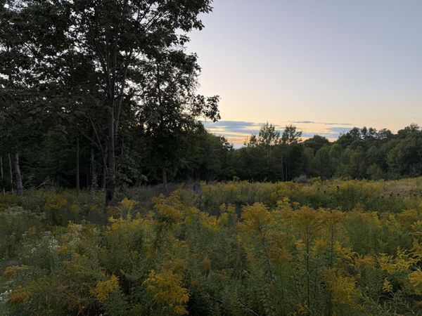 319 Parsons Road , Paris, ME 04281