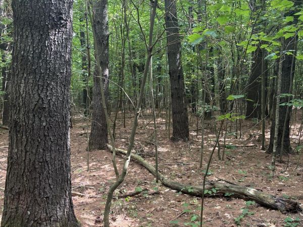 Lot 28 Troy Road , Burnham, ME 04922
