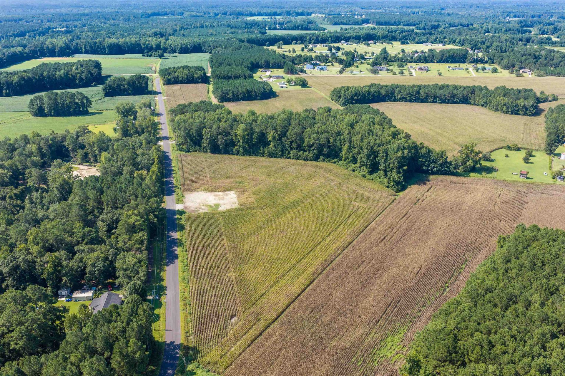 Tbd Lot 2 Birchfield Dr.  Photo 11