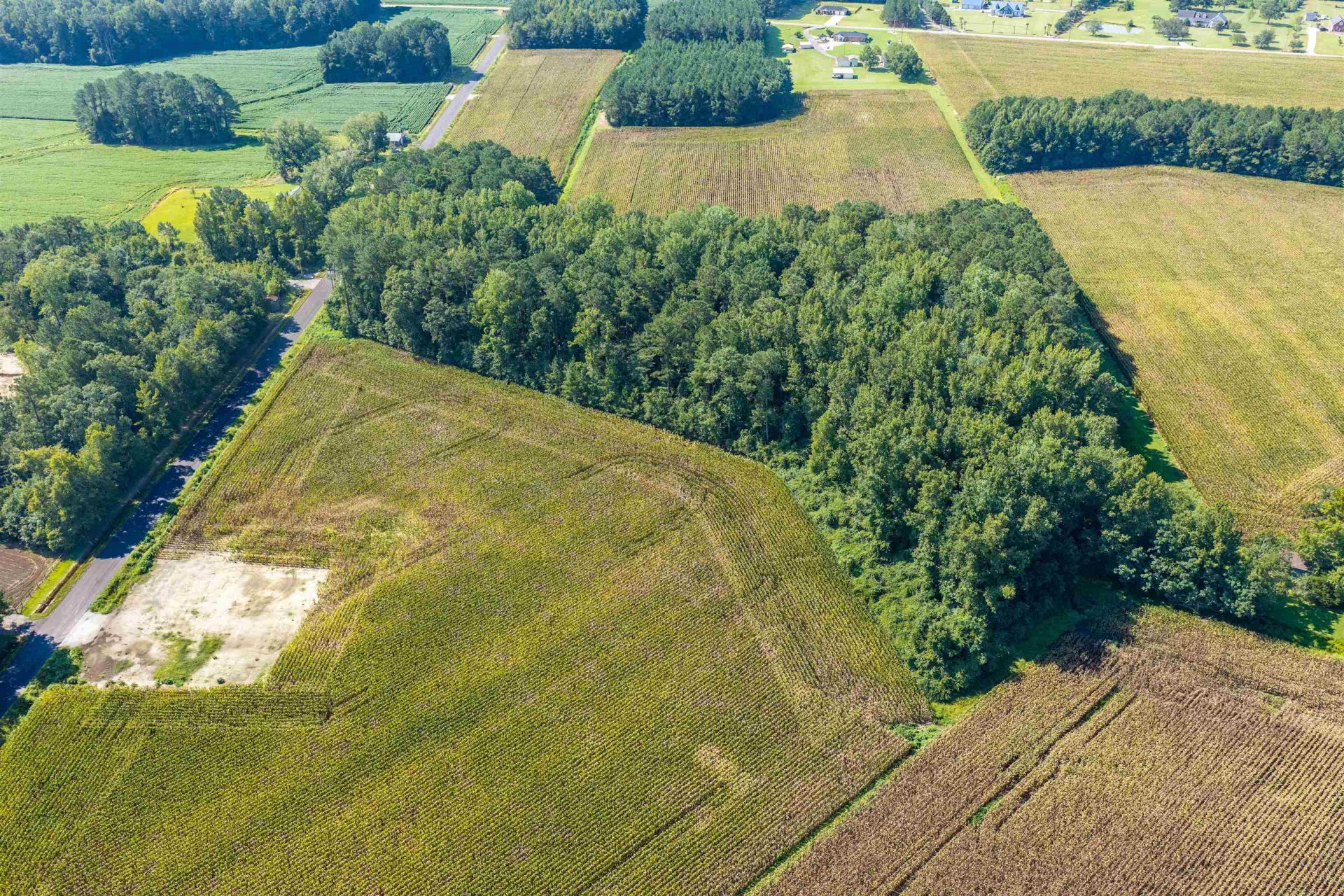 Tbd Lot 2 Birchfield Dr.  Photo 4