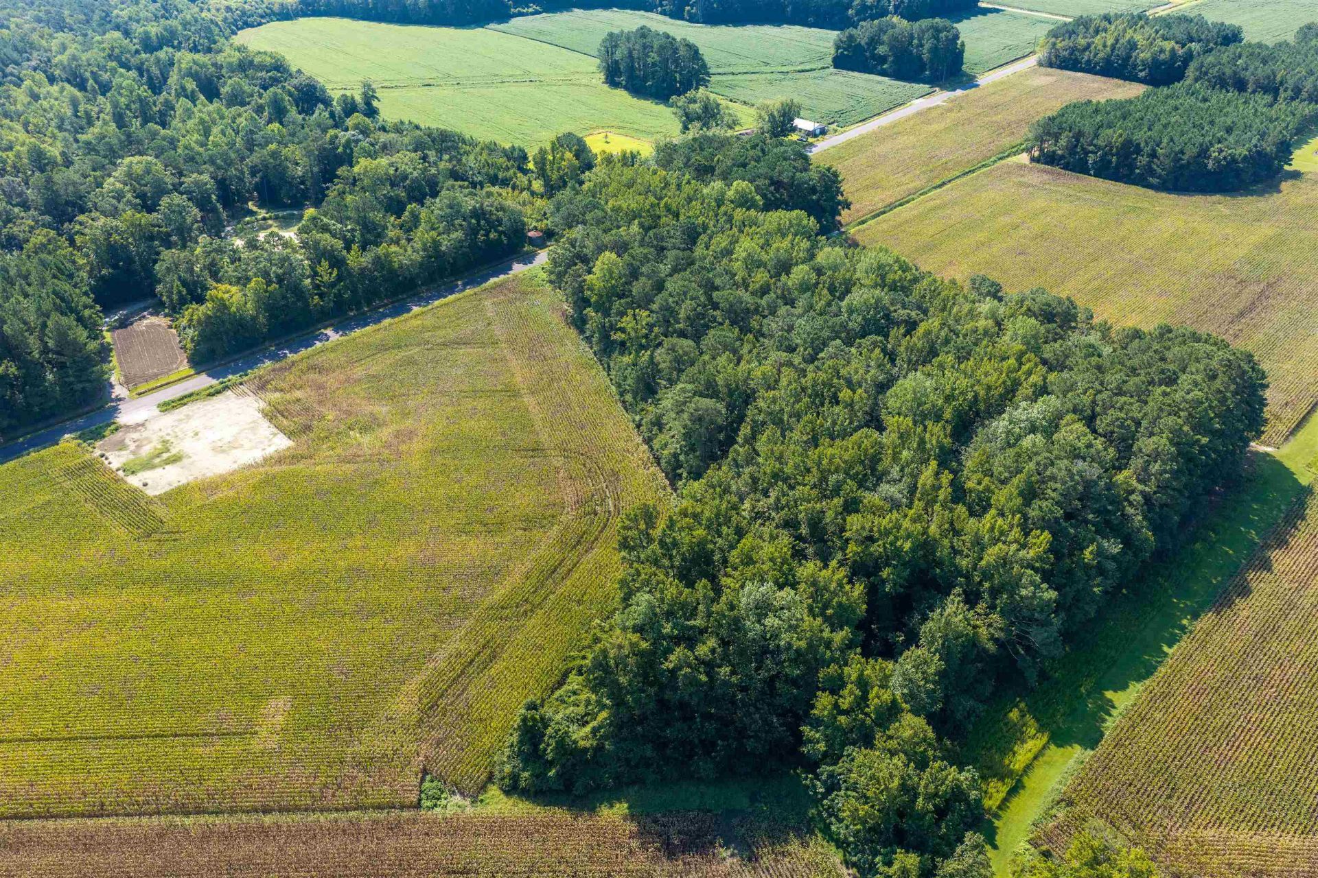 Tbd Birchfield Dr.  Photo 6