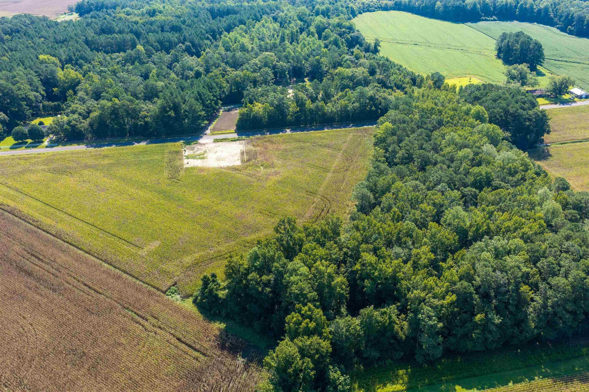 Tbd Birchfield Dr.  Photo 8
