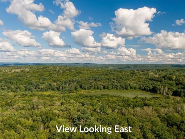 Tract 7 Delargy Rd, Hardwick, MA 01037
