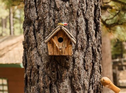 786 Tehama Drive, South Lake Tahoe, CA 96150 Photo