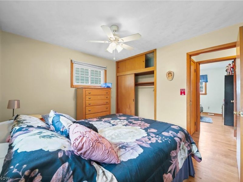 311 Young Drive, Lodi, OH 44254 Photo 18