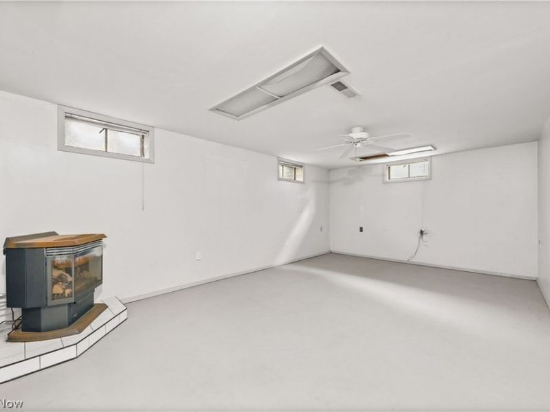 311 Young Drive, Lodi, OH 44254 Photo 28