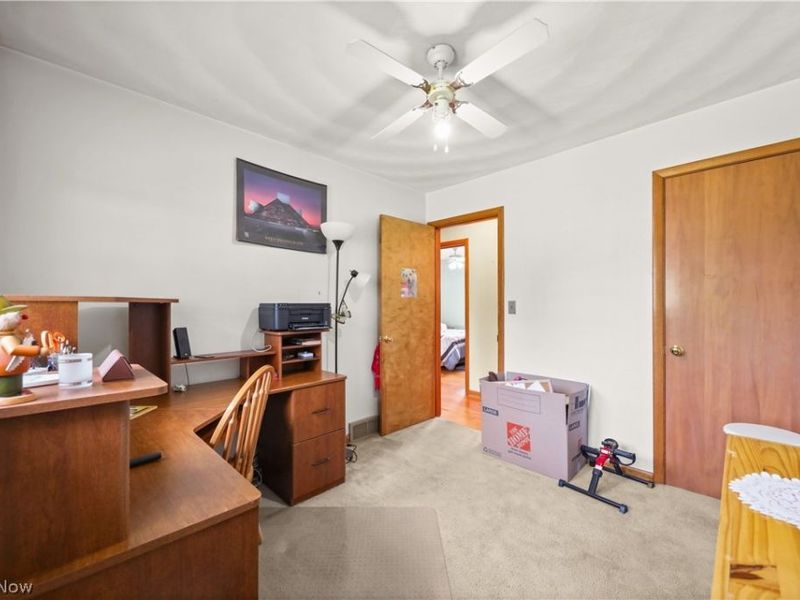 311 Young Drive, Lodi, OH 44254 Photo 35