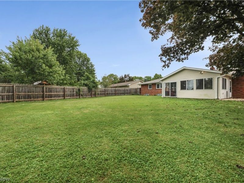 311 Young Drive, Lodi, OH 44254 Photo 43