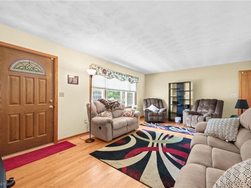 311 Young Drive, Lodi, OH 44254 Photo 8