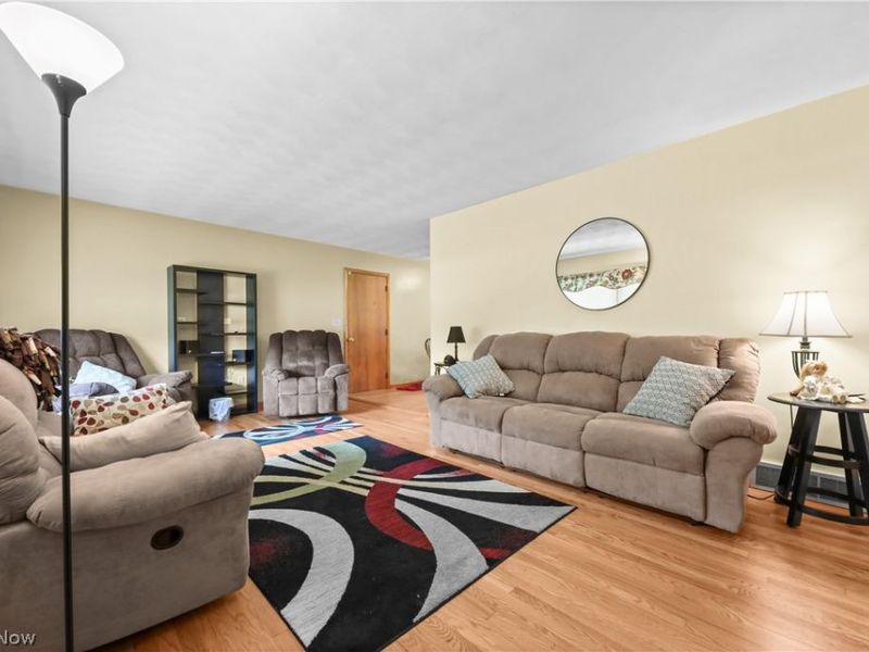 311 Young Drive, Lodi, OH 44254 Photo 9