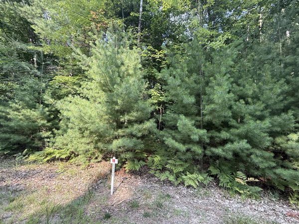 6842 White Pine Drive, Stanwood, MI 49346