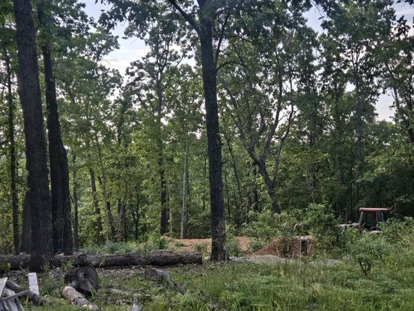 Lot 74, Jeffery Lane , Cape Fair, MO 65624