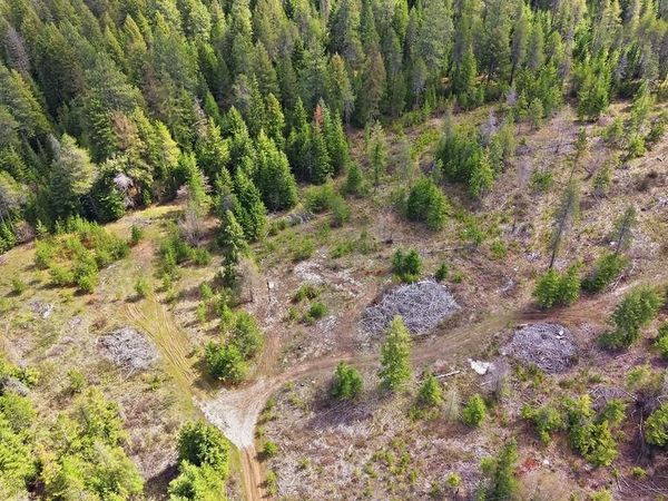 8300 E Lodge Pole Ln, Chattaroy, WA 99003