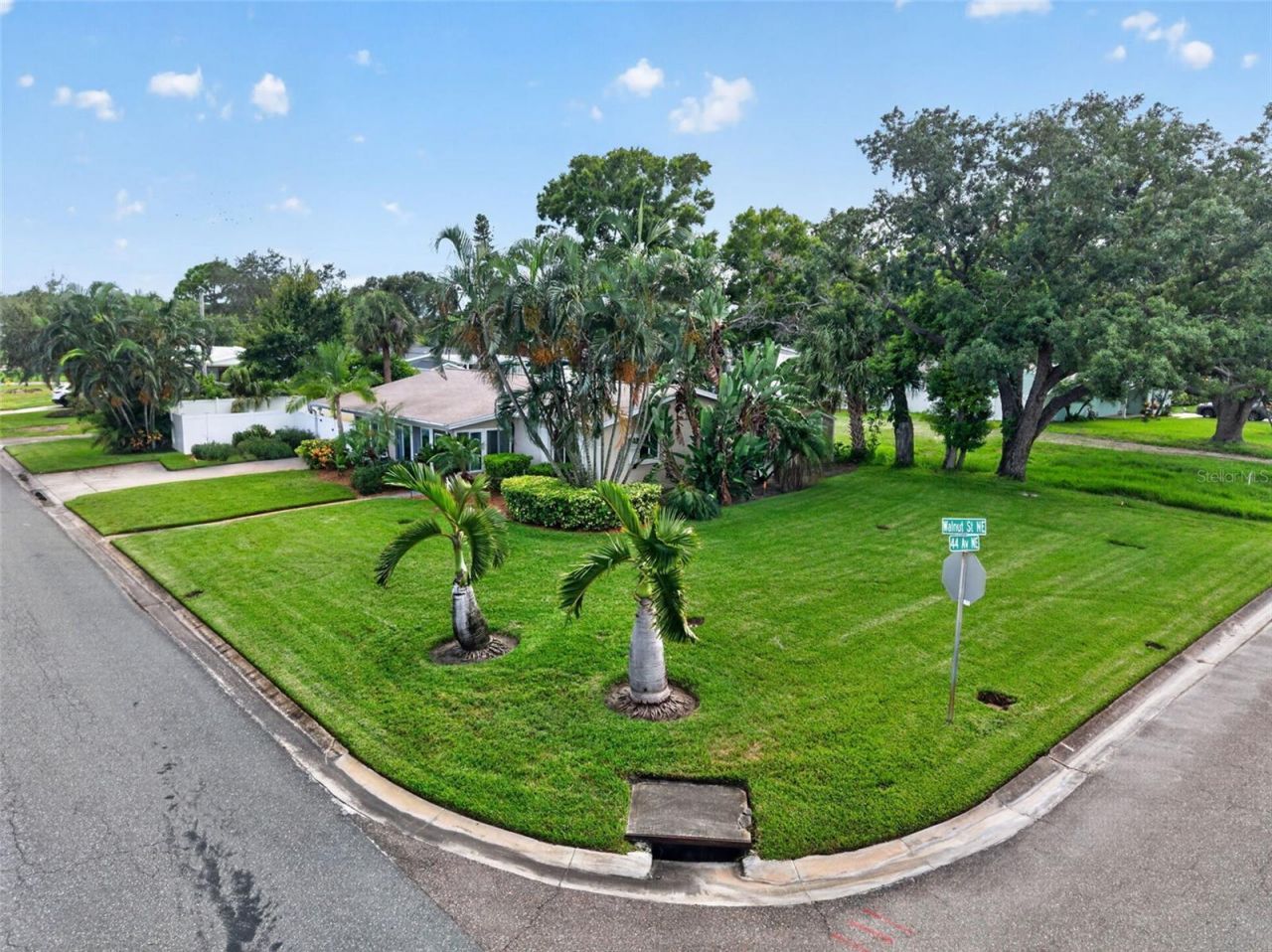 4392 Walnut Street Ne, Saint Petersburg, FL 33703 Photo