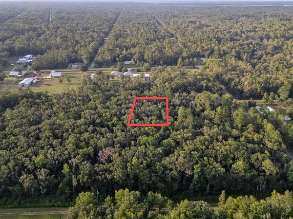 4715 ALVIN STREET , HASTINGS, FL 32145
