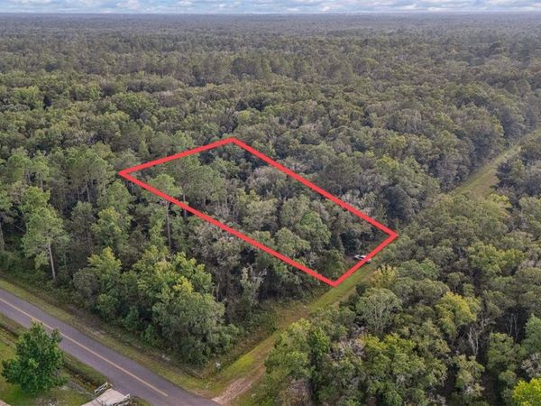 4725 ALVIN STREET , HASTINGS, FL 32145