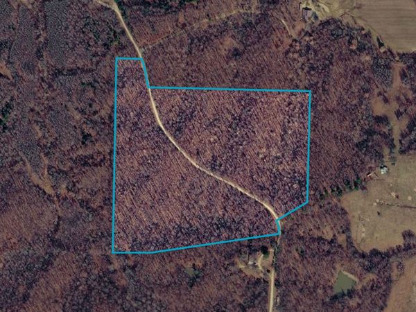 Tract 1 County 408 Road , Lafe, AR 72436