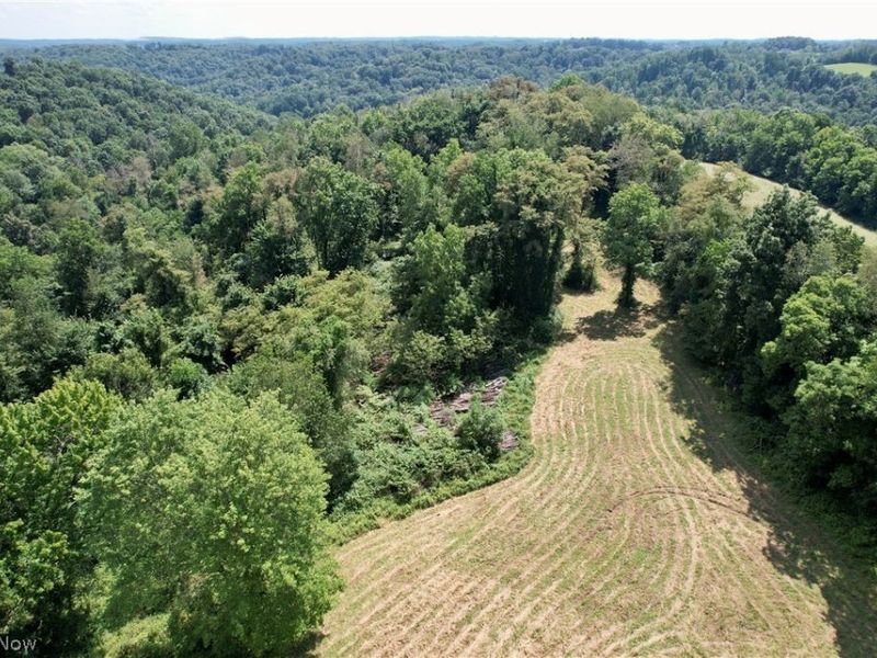 7176 Pearl Road SE, Amsterdam, OH 43903 Photo 36