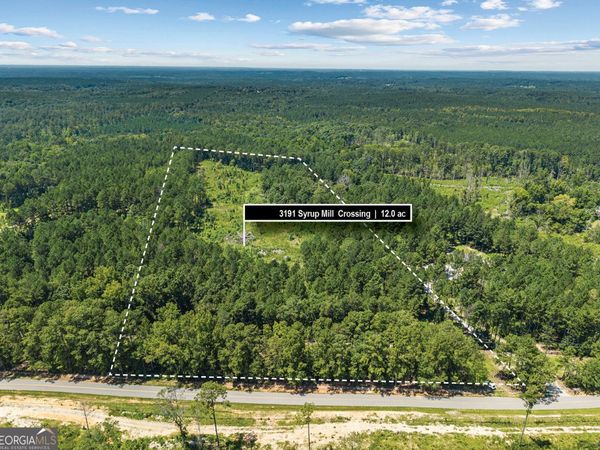 3191 Syrup Mill Crossing, Greensboro, GA 30642