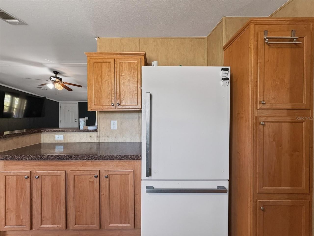 37647 Jenny Lane , Eustis, FL 32736 Photo