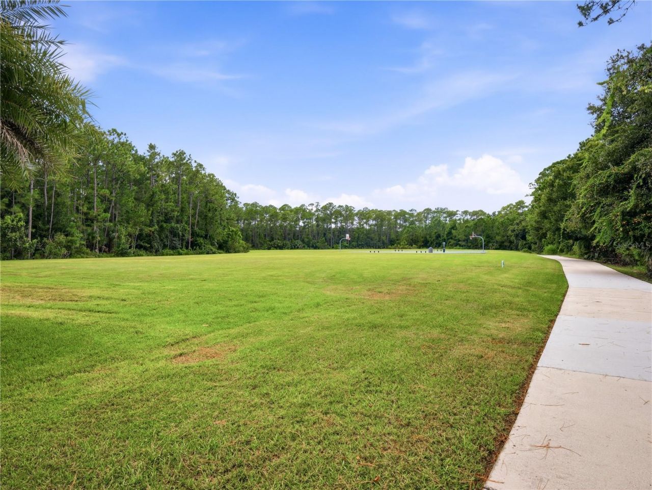 3417 Torre Boulevard, New Smyrna Beach, FL 32168 Photo