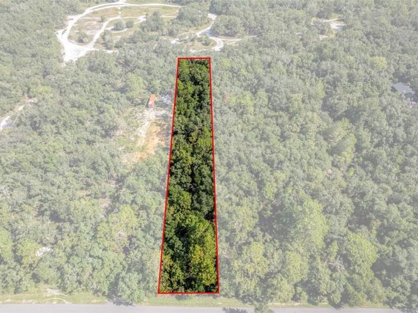 33441 TOMBSTONE STREET , WEBSTER, FL 33597