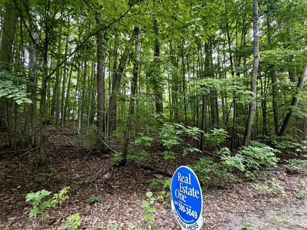 Wasservalden, Bellaire, MI 49615