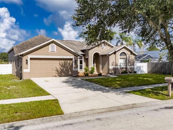 10303 TARRAGON DRIVE , RIVERVIEW, FL 33569