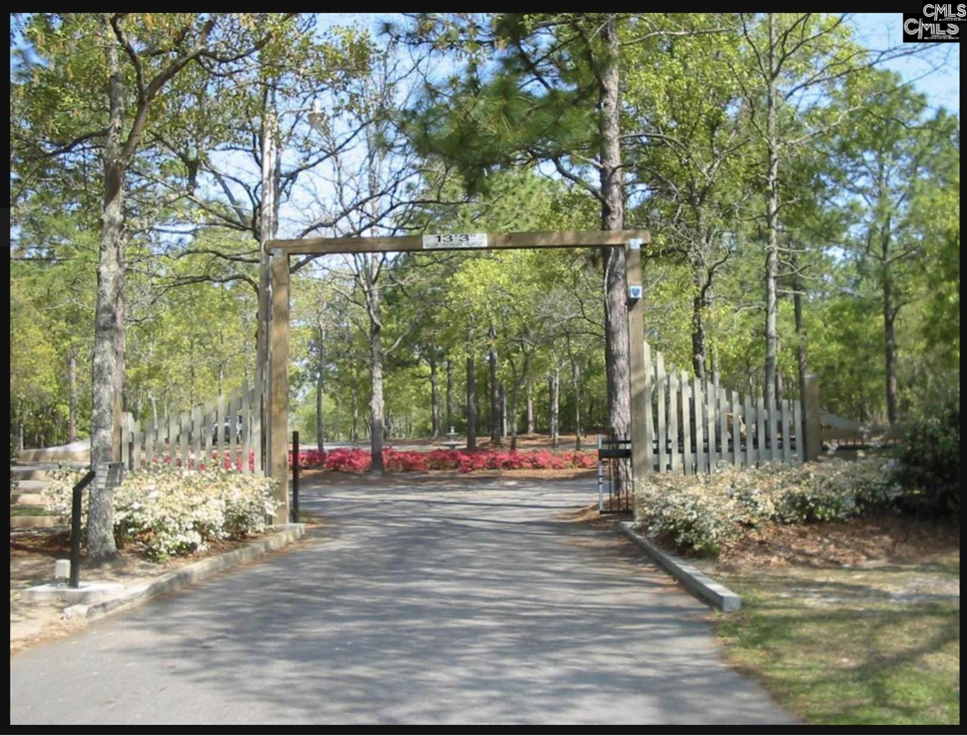 Edisto Lake Road Photo 5