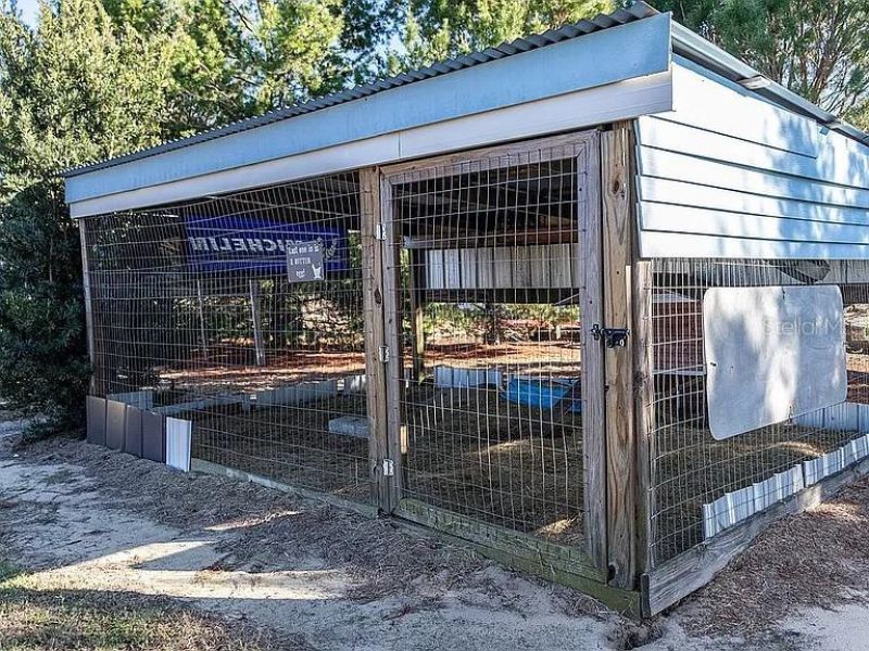 1677 W Highway 316 , Citra, FL 32113 Photo