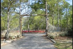 Edisto Lake Road photo 4