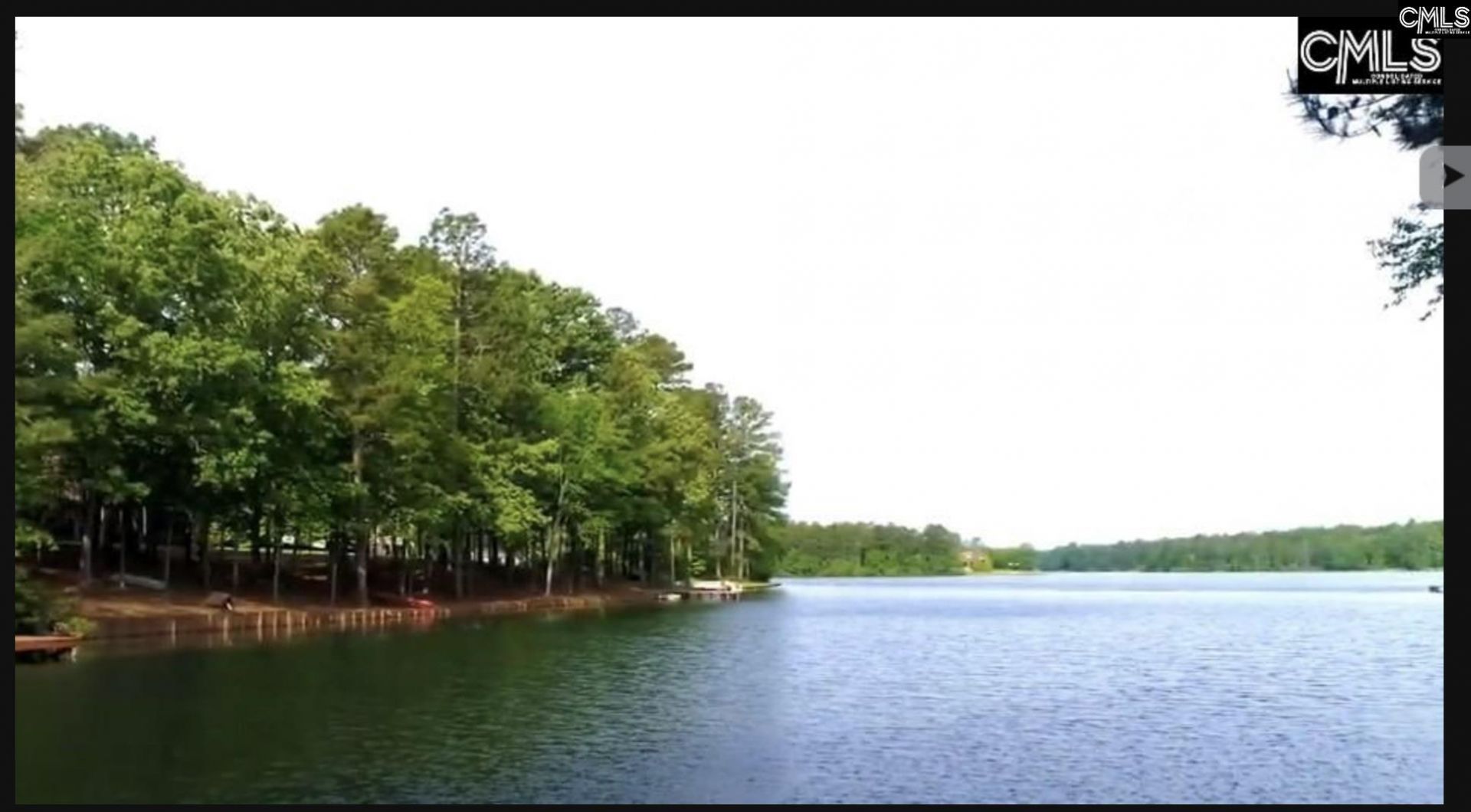 Edisto Lake Road Photo 4