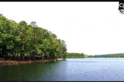 Edisto Lake Road photo 4